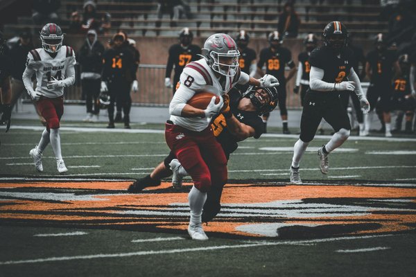 10 Expert Strategies to Help Your Cat Adjust to a New Baby at Home